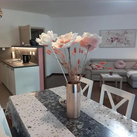 Centar Edda Joakima Rakovca 7 E 52470-umag *