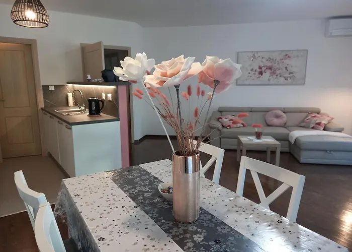 Centar Edda Joakima Rakovca 7 E 52470-umag *