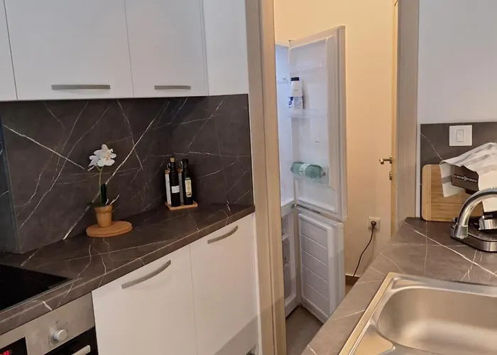 아파트 Centar Edda Joakima Rakovca 7 E 52470-umag